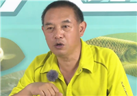 《三友創美大講堂》臺釣釣組的三個要素（下）