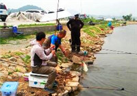 《水庫釣魚視頻》 夏季男子水庫手竿釣草魚
