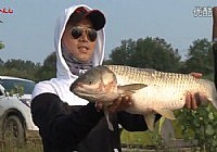 《水庫釣魚視頻》鄧剛老師水庫臺釣力擒大草魚