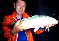 《闖江湖王澤岐》第35期 防洪退水魚難釣，王澤岐艱難水庫行
