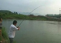 《水庫釣魚視頻》悲劇遛魚