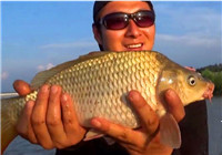 《闖江湖王澤歧》 第6集 鴜鷺湖野釣漁獲頗豐