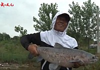 《水庫釣魚視頻》武漢天元戰隊鐘祥水庫釣大魚(下)