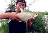 《闖江湖王澤岐》第7集 鴜鷺湖野釣之行