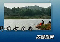 《水庫釣魚視頻》CCTV野釣全攻略 第12集