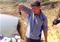 《闖江湖王澤岐》第27期 隆潭水庫探鯽魚 鏡面鯉魚來報道