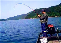 《水庫釣魚視頻》 釣友水庫擒獲巨鯉