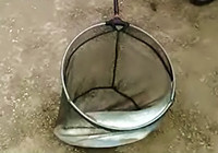 《水庫釣魚視頻》 水庫手竿擒獲大鰱鳙魚