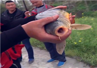 《水庫釣魚視頻》釣魚大師看漂抓口遛魚視頻合輯（6）