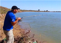 《水庫釣魚視頻》 釣友夏季釣魚一次性爆護