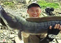 《水庫釣魚視頻》 男子水庫野釣擒獲超級大黑魚