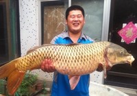 《水庫釣魚視頻》數位釣友狂拉巨物