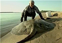 《水庫釣魚視頻》 男子水庫釣到巨怪拉著船跑