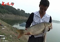 《水庫釣魚視頻》武漢天元戰隊鐘祥水庫釣大魚(上)