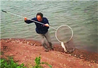 《水庫釣魚視頻》 刮風天釣友水庫擒獲大草魚