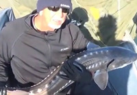 《水庫釣魚視頻》 用魚肉成功誘惑到大鰉魚