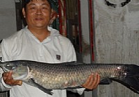 《水庫釣魚視頻》水庫四米五手竿釣獲12斤大青魚