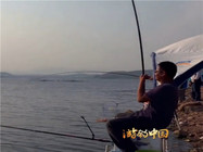 釣魚大師水庫釣大魚的看漂抓口視頻