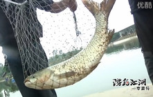 《游釣江湖》第34集 笑哥挑戰黑坑混養魚