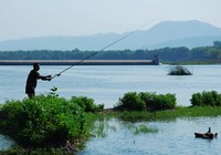 《游釣江湖》第二季 第31集 重慶桃花源水庫大草魚