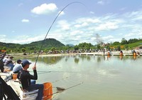 《游釣江湖》第二季 第29集 挑戰浙江金華黑坑鯽魚