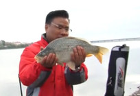 《游釣江湖》第二季 第17集 哈爾濱長嶺湖野生大鯉魚