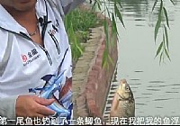 《游釣江湖》第14集 垂釣金龍話黑坑