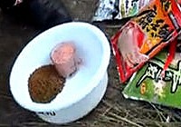 《游釣江湖》第34集 垂釣洪湖水庫