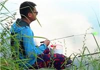 《漁道中國》62期 金龍老窖糧窩釣草魚