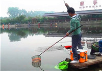 《漁道中國》55期 笑哥黑坑作釣遭遇無魚 打窩之后連竿上魚