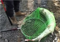 《漁道》第17集 笑哥江西南昌挑戰大物戰鱘魚