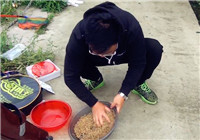 《漁道中國》54期 笑哥黑坑作釣 連竿上魚驚喜不斷