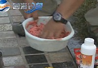 《配制魚餌視頻》釣魚王鯽魚餌料配方搭配