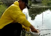 《釣魚視頻》援美獵鯉行 第3集