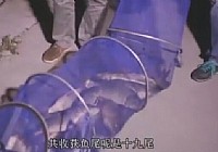 《釣魚視頻》探索釣桿坑連釣的訣竅