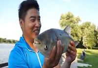 《釣魚視頻》援美獵鯉行 第2集