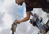 《釣魚視頻》國外全明星游釣鱸魚