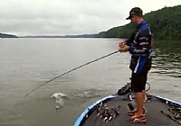 2014美國《FLW釣魚》PickwickLake