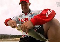 2014美國《FLW釣魚》BeaverLake