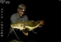 《河中巨怪》第三季 第7集 狼魚