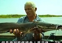 《河中巨怪》第四季 第2集 南美利齒河怪