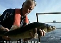 《河中巨怪》第五季 第3集 原子殺手
