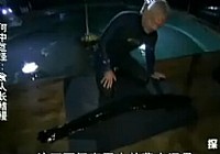 《河中巨怪》第三季 第2集 食人長鰭鰻
