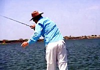 《荒野垂釣》第5集 贊比西河虎魚