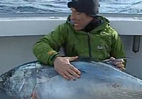 《極限釣魚》第二季 第5集 金槍魚條紋石鮨硬頭鱒