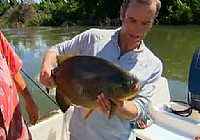 《極限釣魚》第四季 第6集 法屬新喀里多尼亞火焰鯛魚