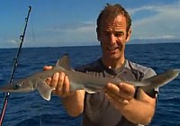 《極限釣魚》第四季 第5集 法屬新喀里多尼亞火焰鯛魚