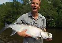 《極限釣魚》第三季 第7集 古巴路亞飛蠅釣大海鰱