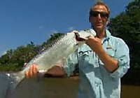 《極限釣魚》第三季 第9集 巴拿馬路亞釣斑鱸海釣旗魚