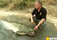 《寰宇地理之捕魚戰士》食鳥河怪